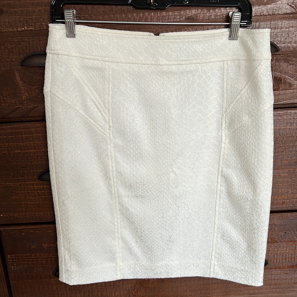 Vintage Snakeskin Skirt
